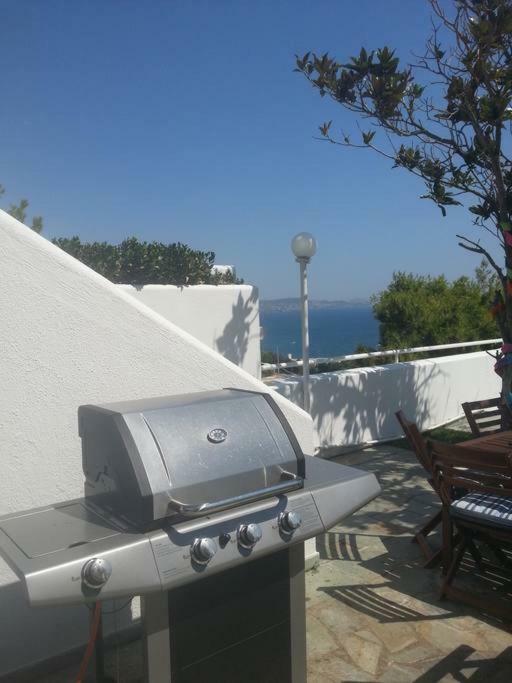 Beautiful, Private Villa By The Sea Agia Marina  Luaran gambar