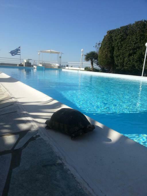 Beautiful, Private Villa By The Sea Agia Marina  Luaran gambar